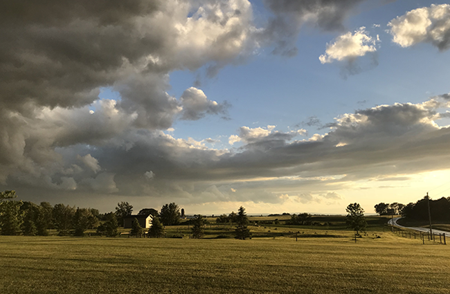 Front Pasture